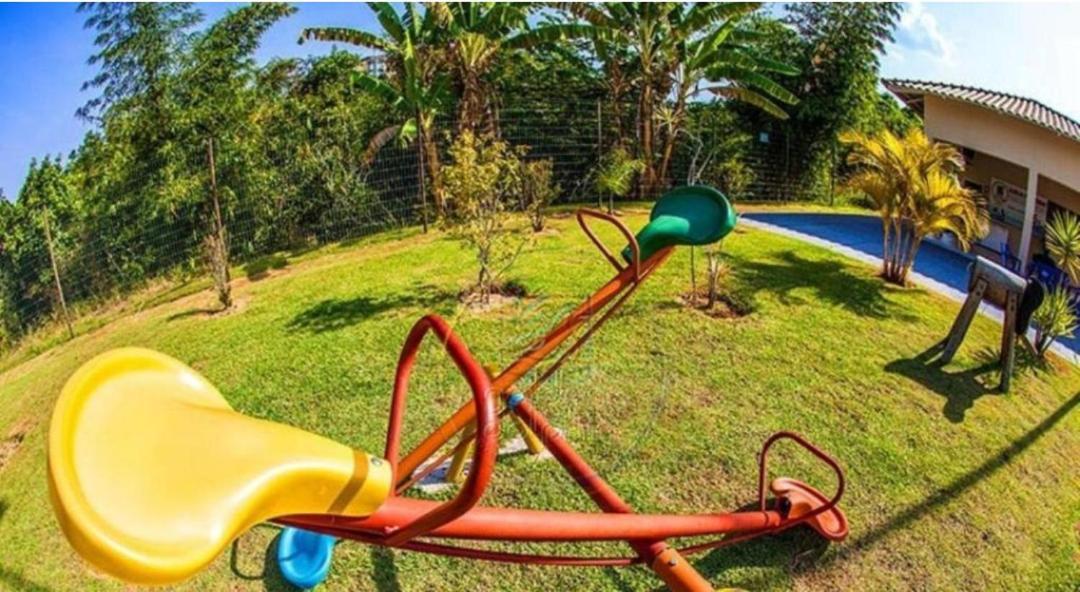 Golden Dolphin Express Ferias!!!
